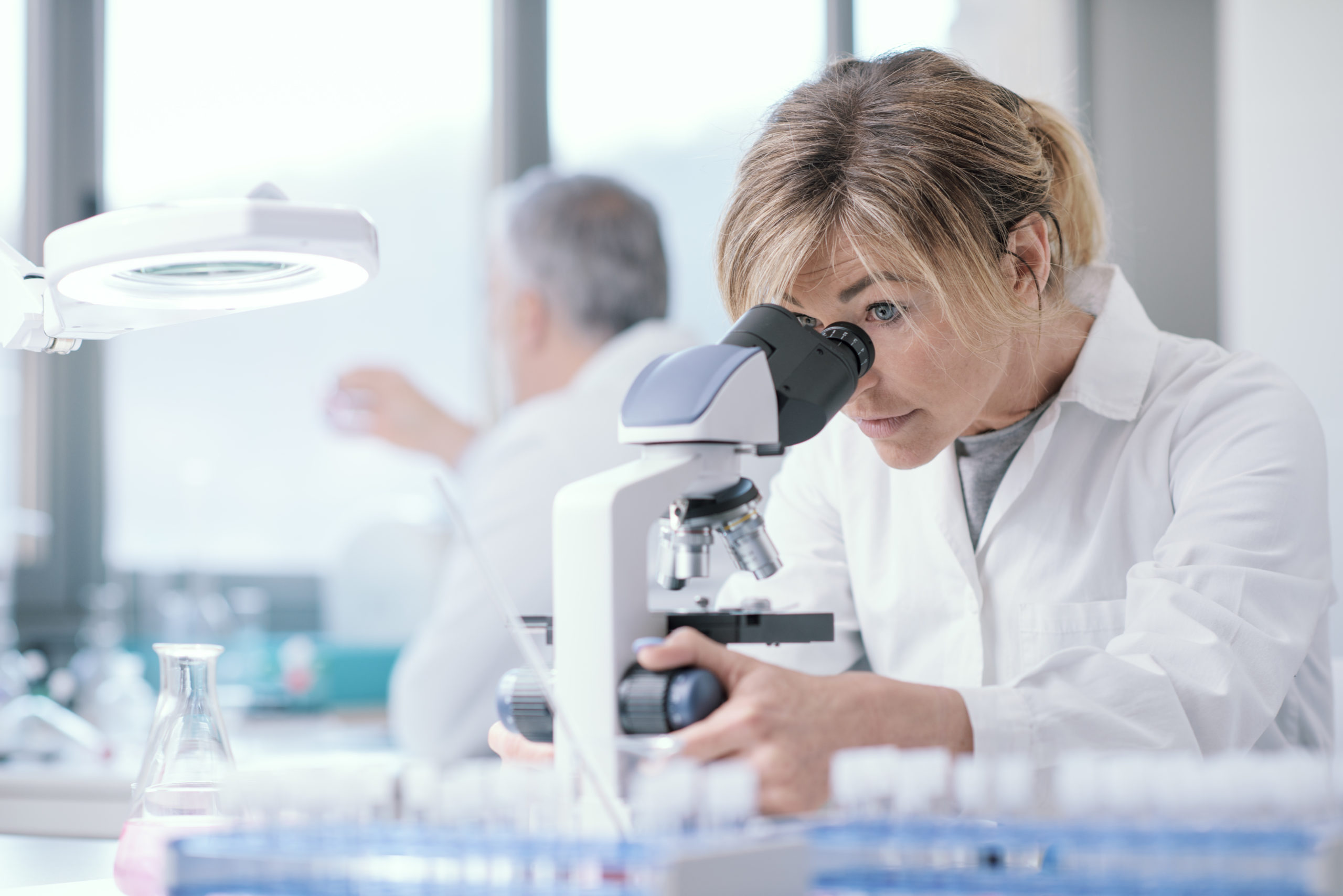 Medical researcher working in the lab